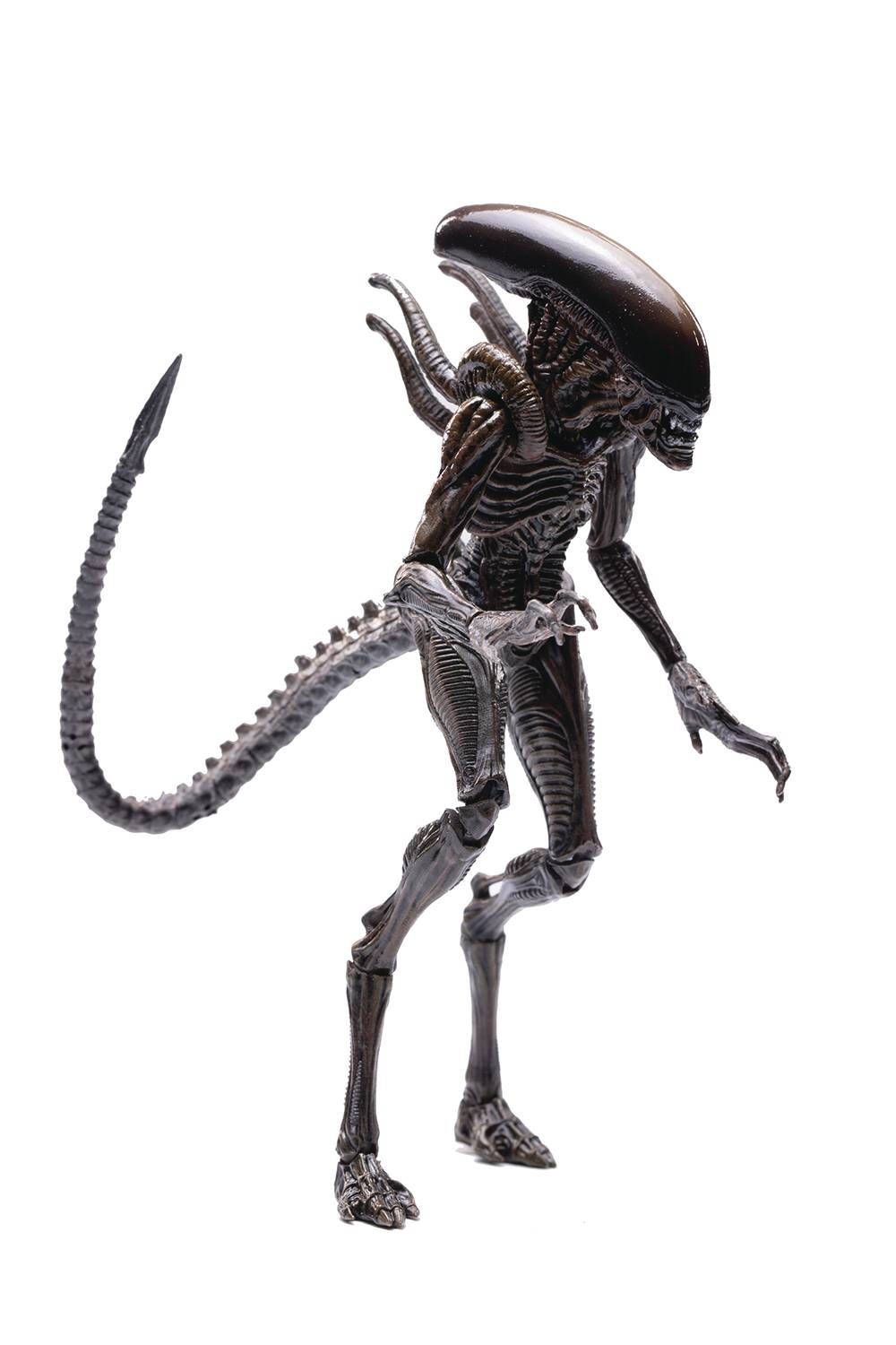 Hiya Toys - Alien Resurrection - Lead Alien Warrior PX Exclusive 1:18 Scale Action Figure (20151) LOW STOCK